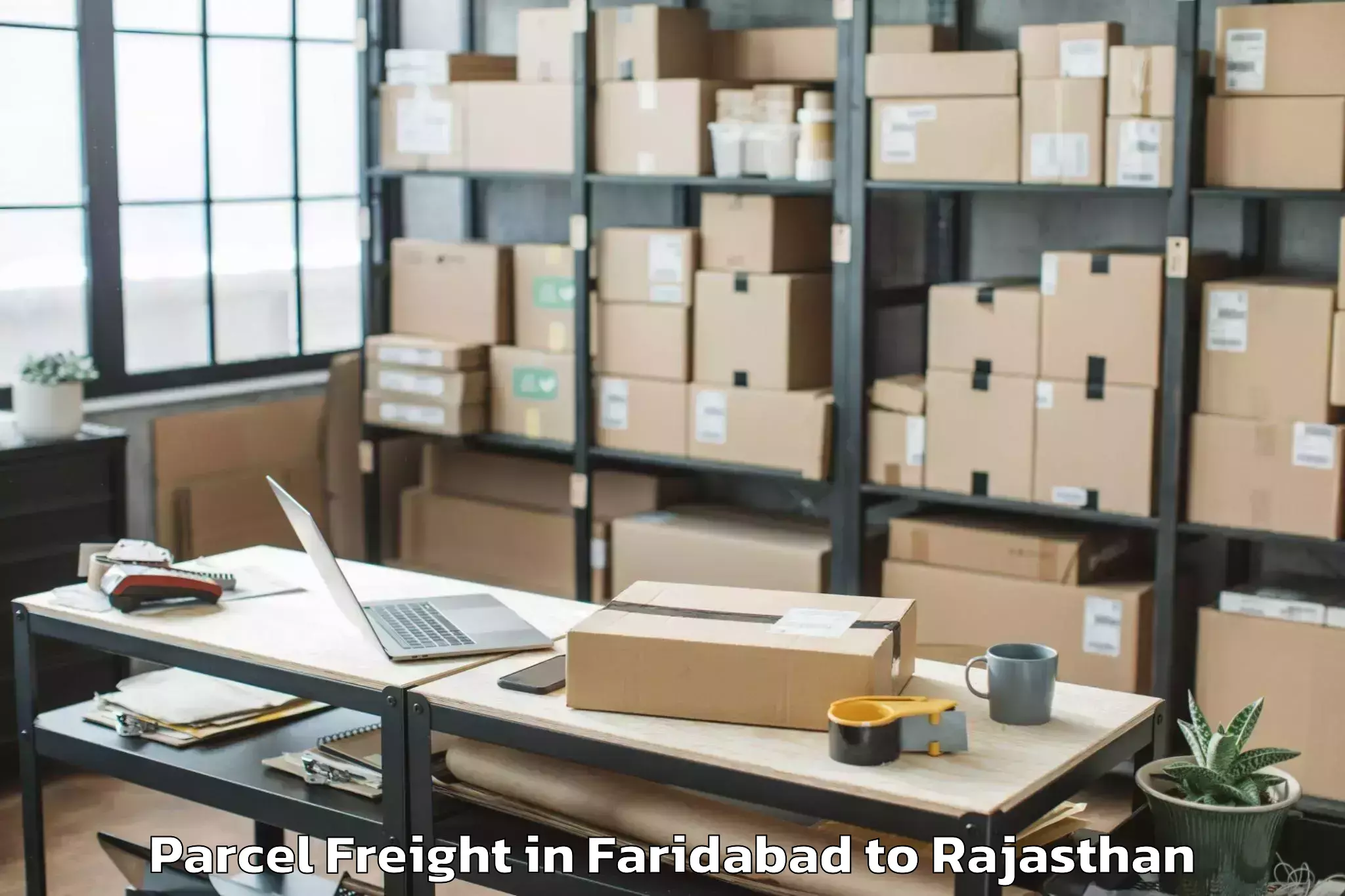 Professional Faridabad to Karauli Parcel Freight